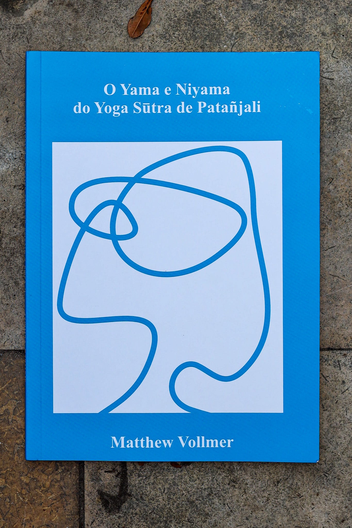 O Yama e Niyama do Yoga Sutra de Patanjali - livro de Matthew Vollmer