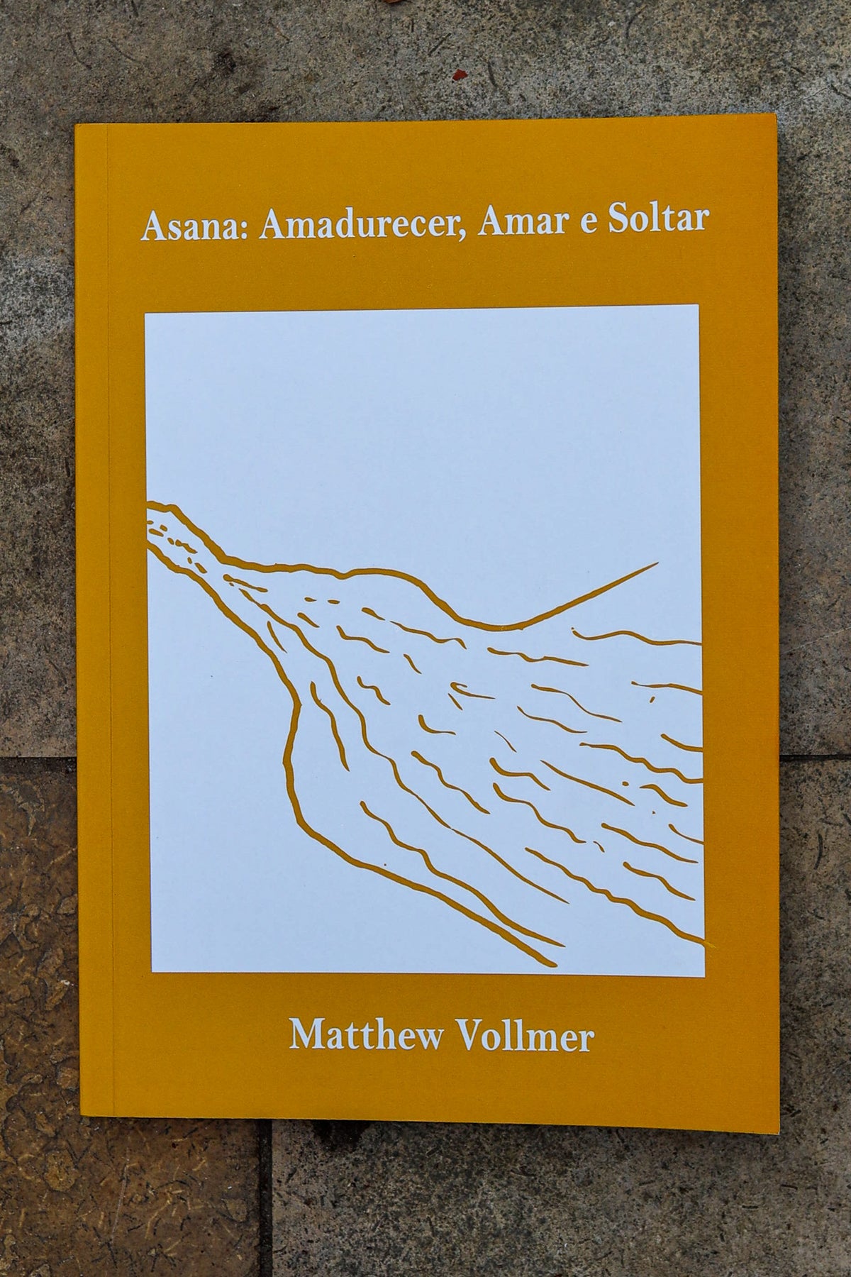 Asana: Amadurecer, Amar e Soltar - livro de Matthew Vollmer