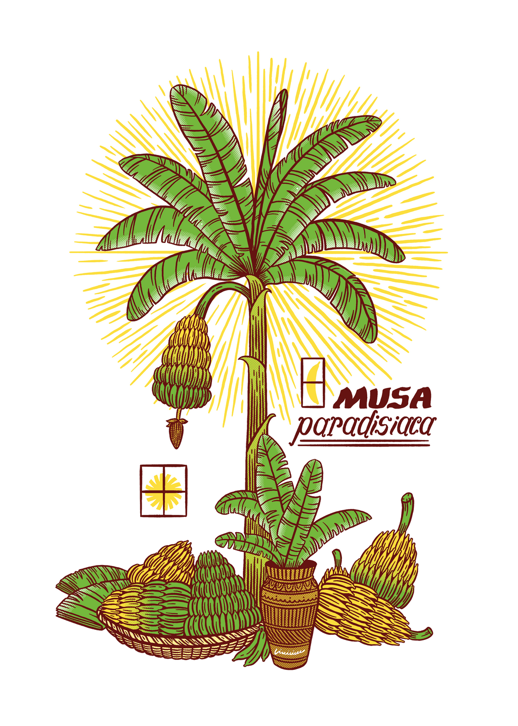 Coleção Musa paradisiaca - Regata Oversized Texture