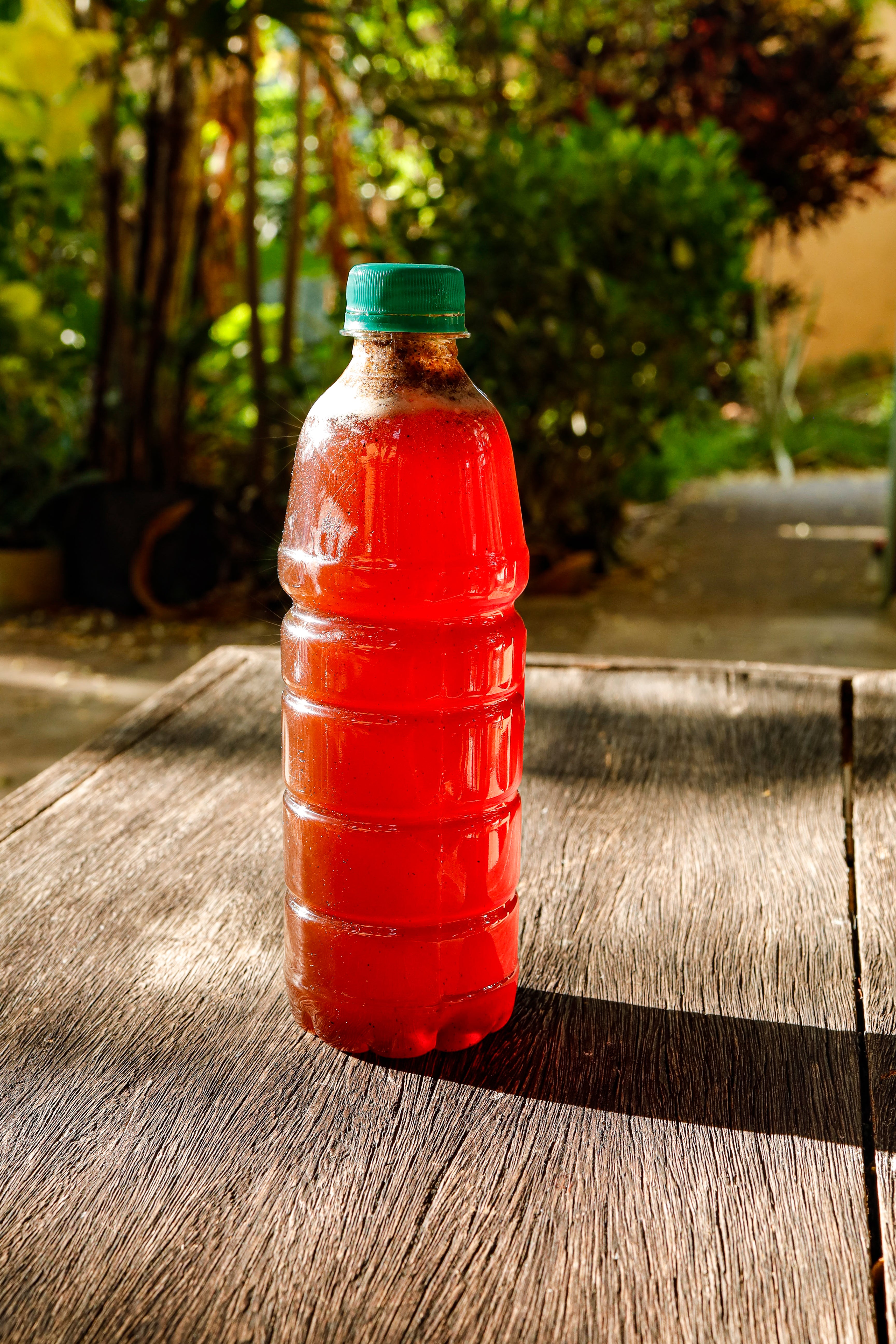 Mel Multifloral do Cariri – CE