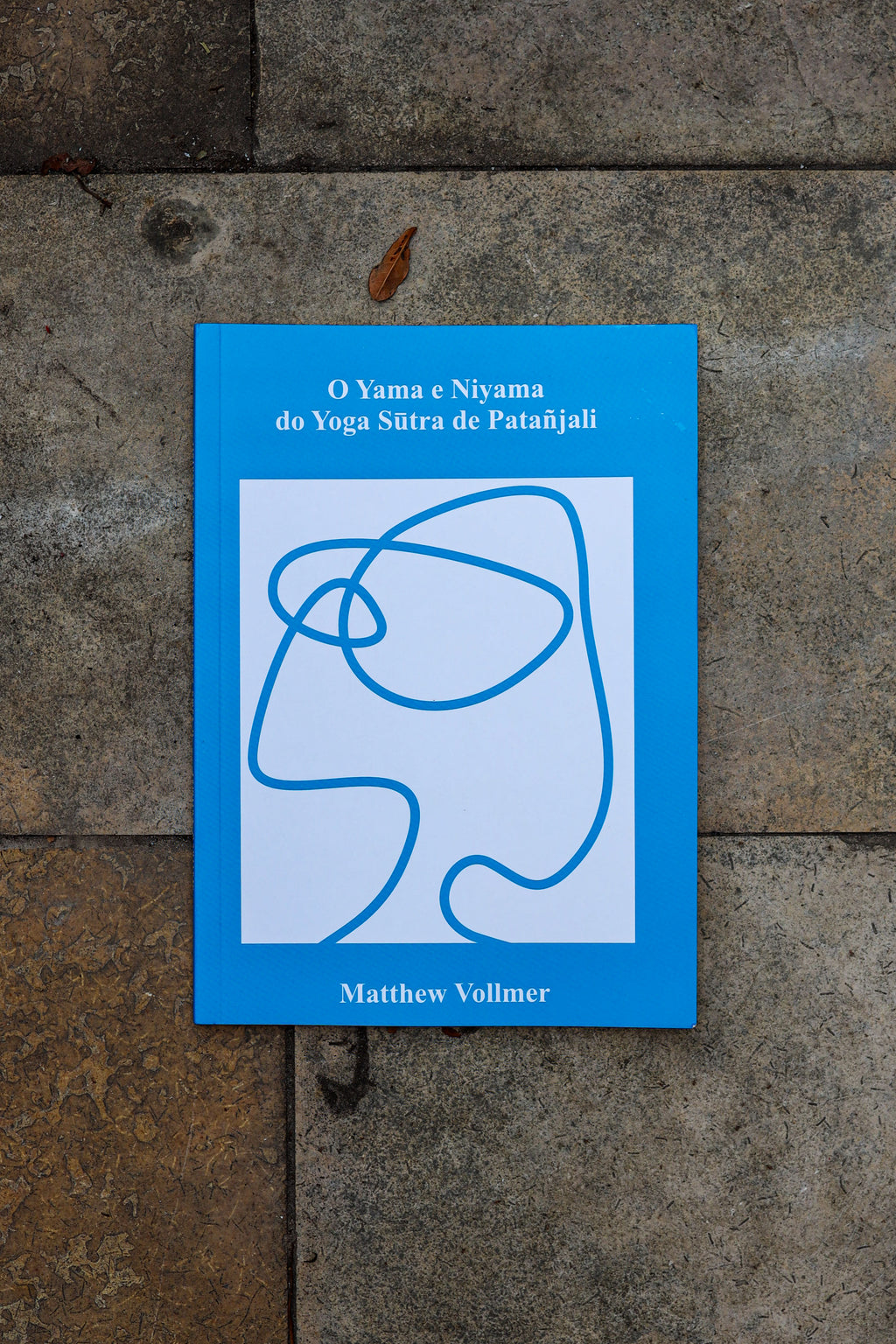 Pack de 3 Livros - Coleção de Matthew Vollmer