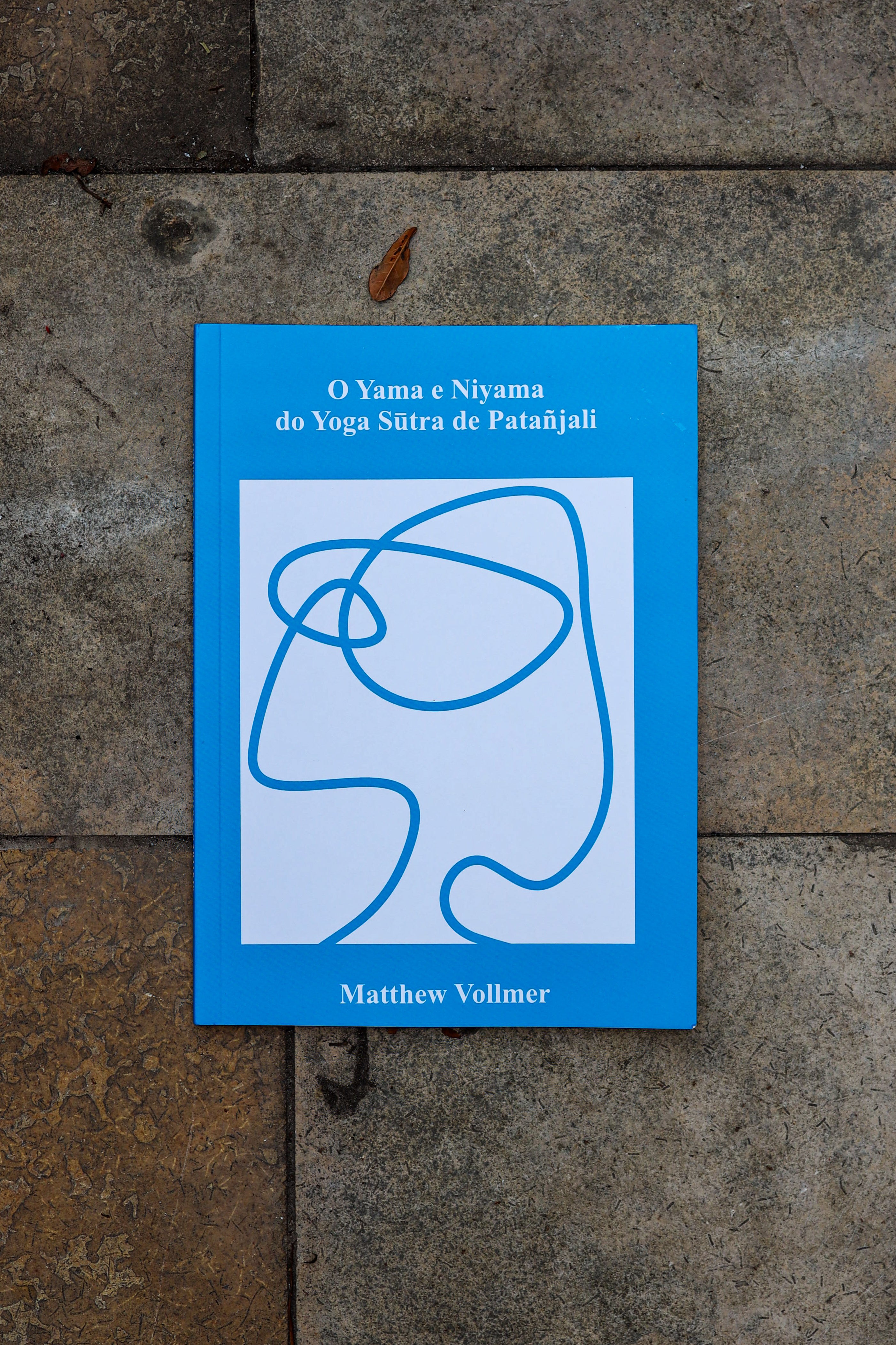 Pack de 3 Livros - Coleção de Matthew Vollmer