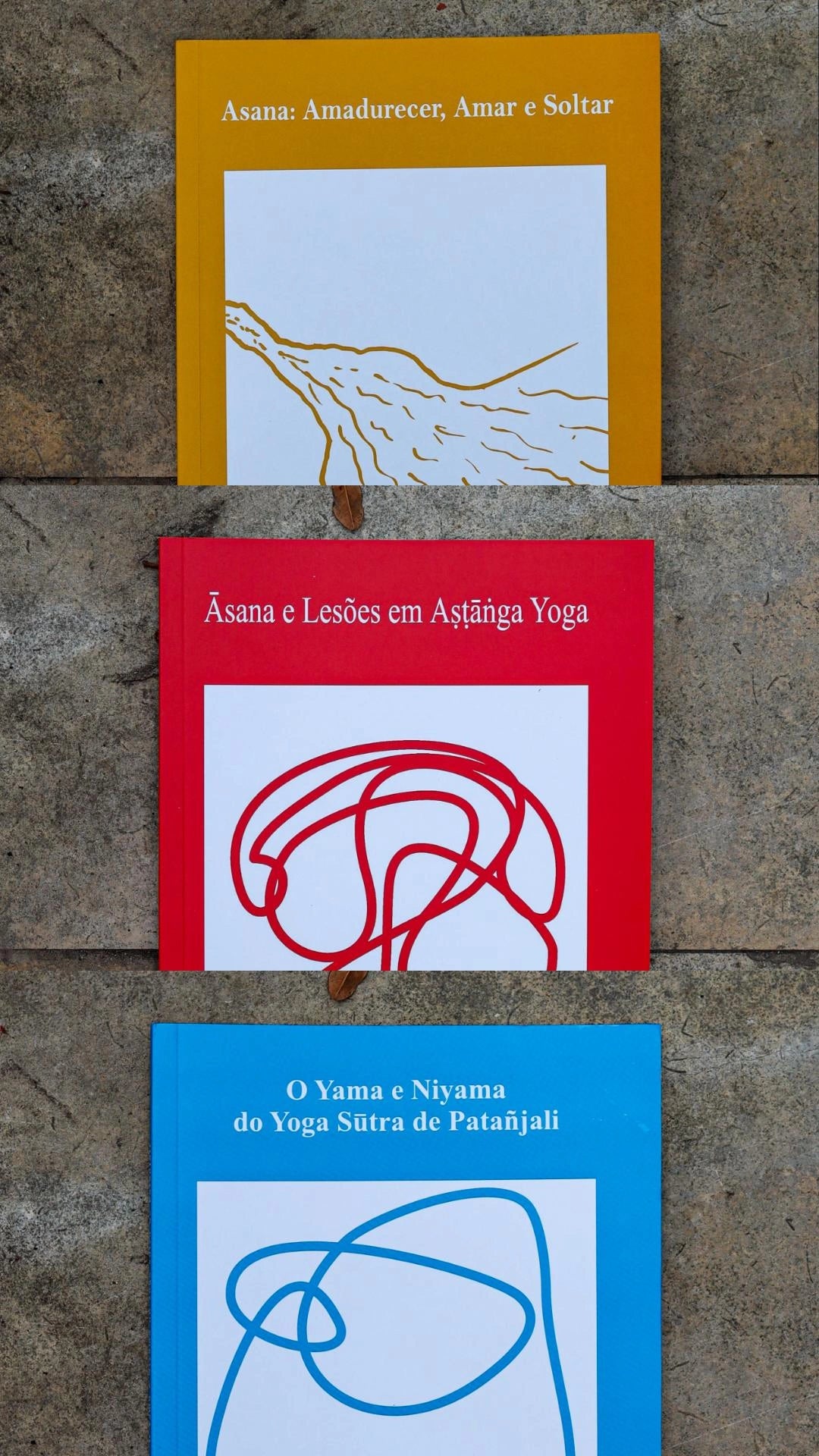 Pack de 3 Livros - Coleção de Matthew Vollmer