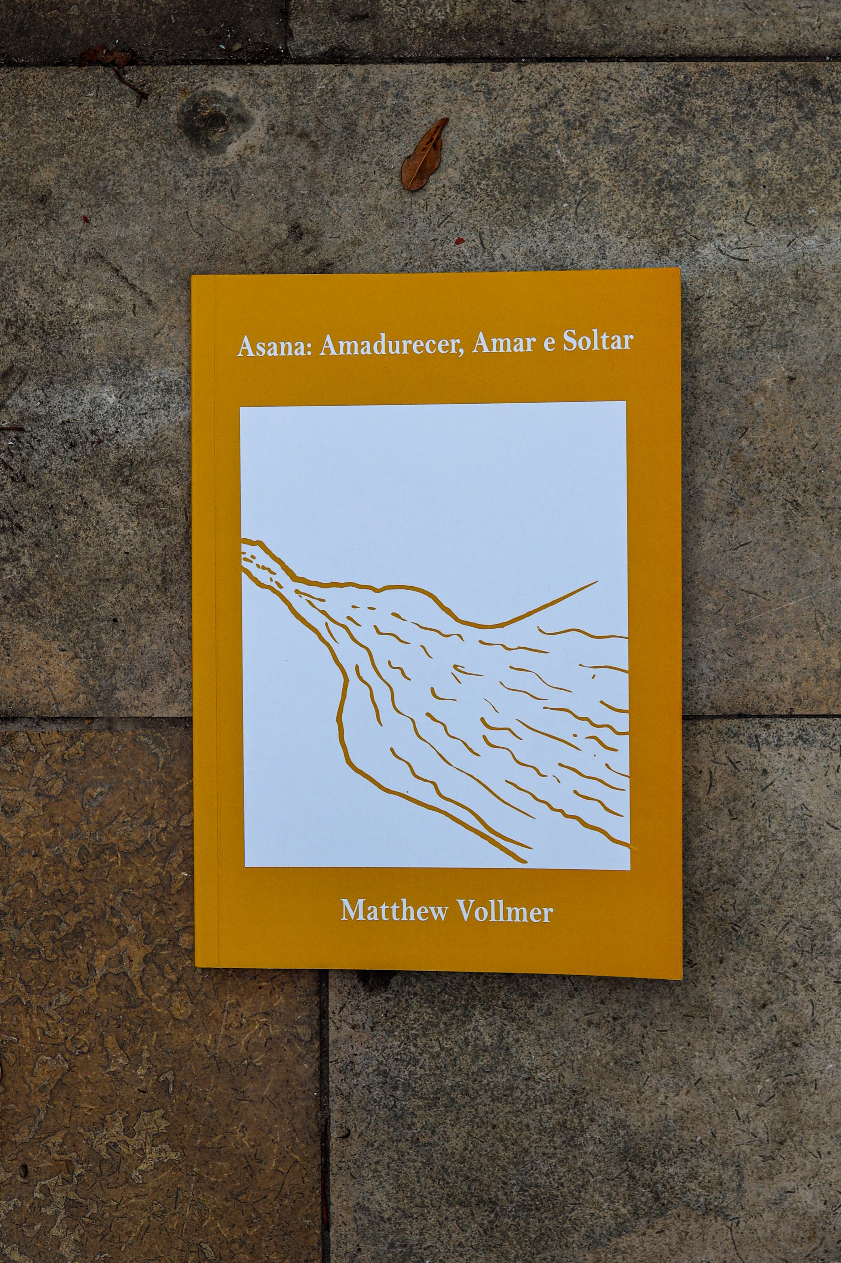 Asana: Amadurecer, Amar e Soltar - livro de Matthew Vollmer