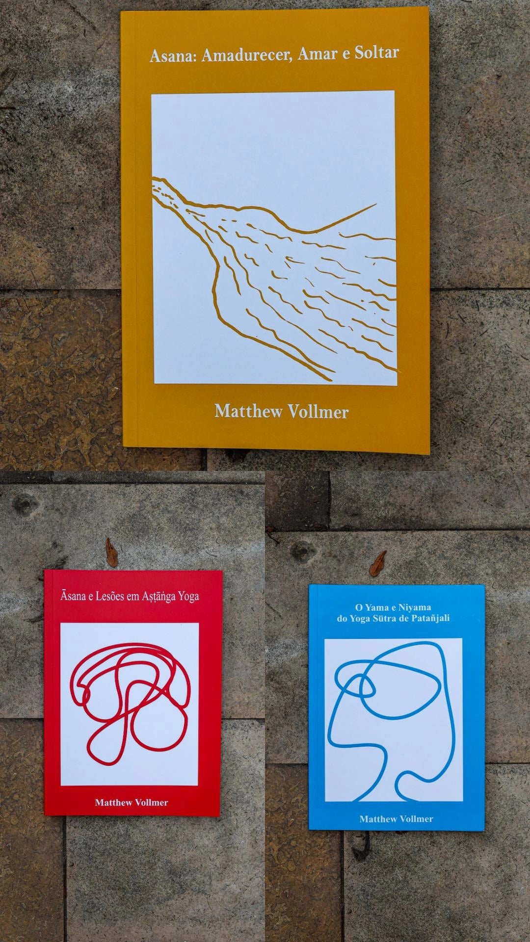 Pack de 3 Livros - Coleção de Matthew Vollmer
