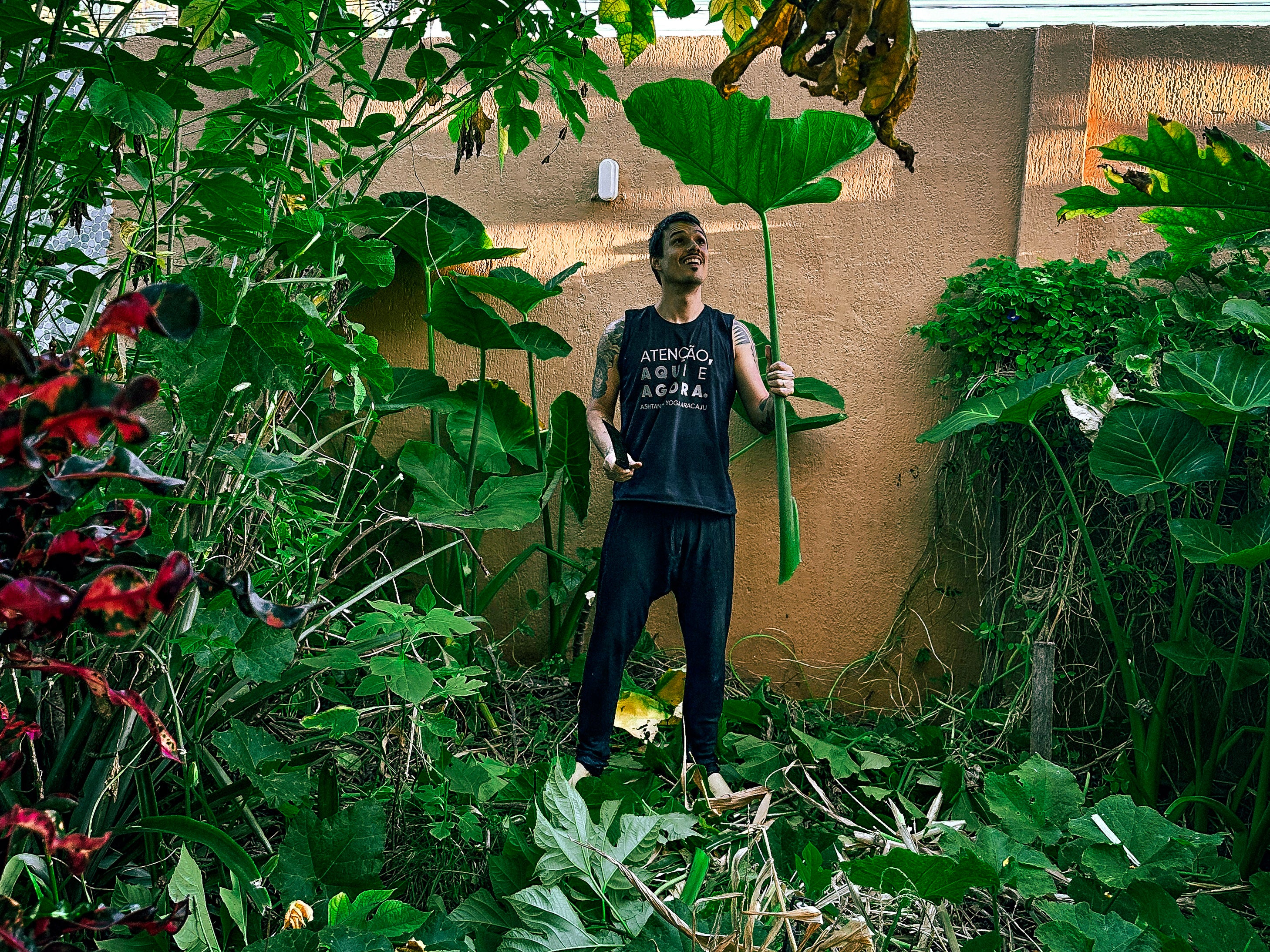 Liderança no Mercado